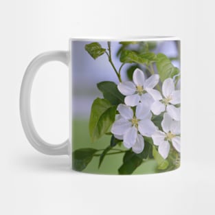 White Crab Apple Blossoms Mug